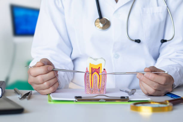 Best Dentist for Tooth Abscess  in Bishop, TX